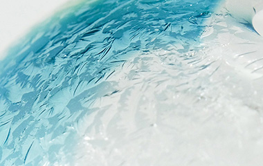 オンラインショップ